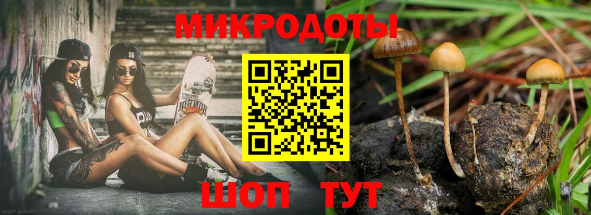 Галлюциногенные грибы мицелий  Псилоцибиновые грибы Psilocybine cubensis  как найти наркотики  Лесосибирск  Вход с VPN 
